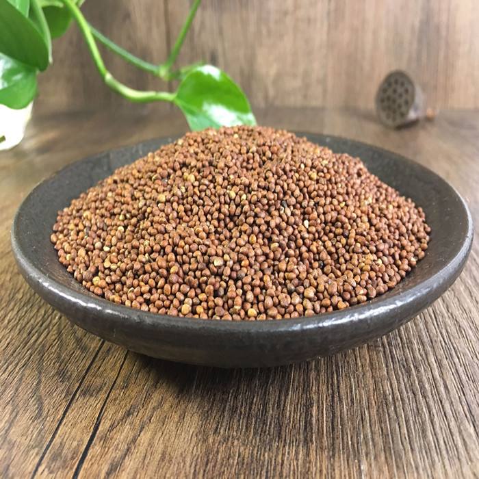 Hạt tía tô khô sạch 100 gram. khang chính đường .