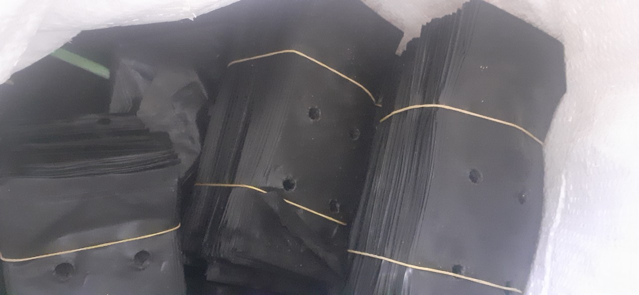 500 gram túi bầu ươm cây 11x19