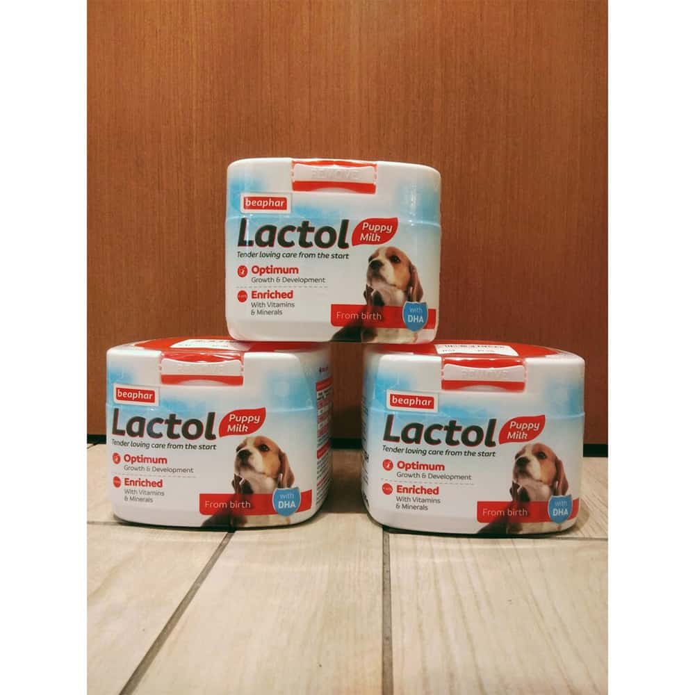 Sữa Bột Cho Chó Con BEAPHAR LACTOL PUPPY MILK (Hà Lan) - [Nông Trại Thú Cưng]