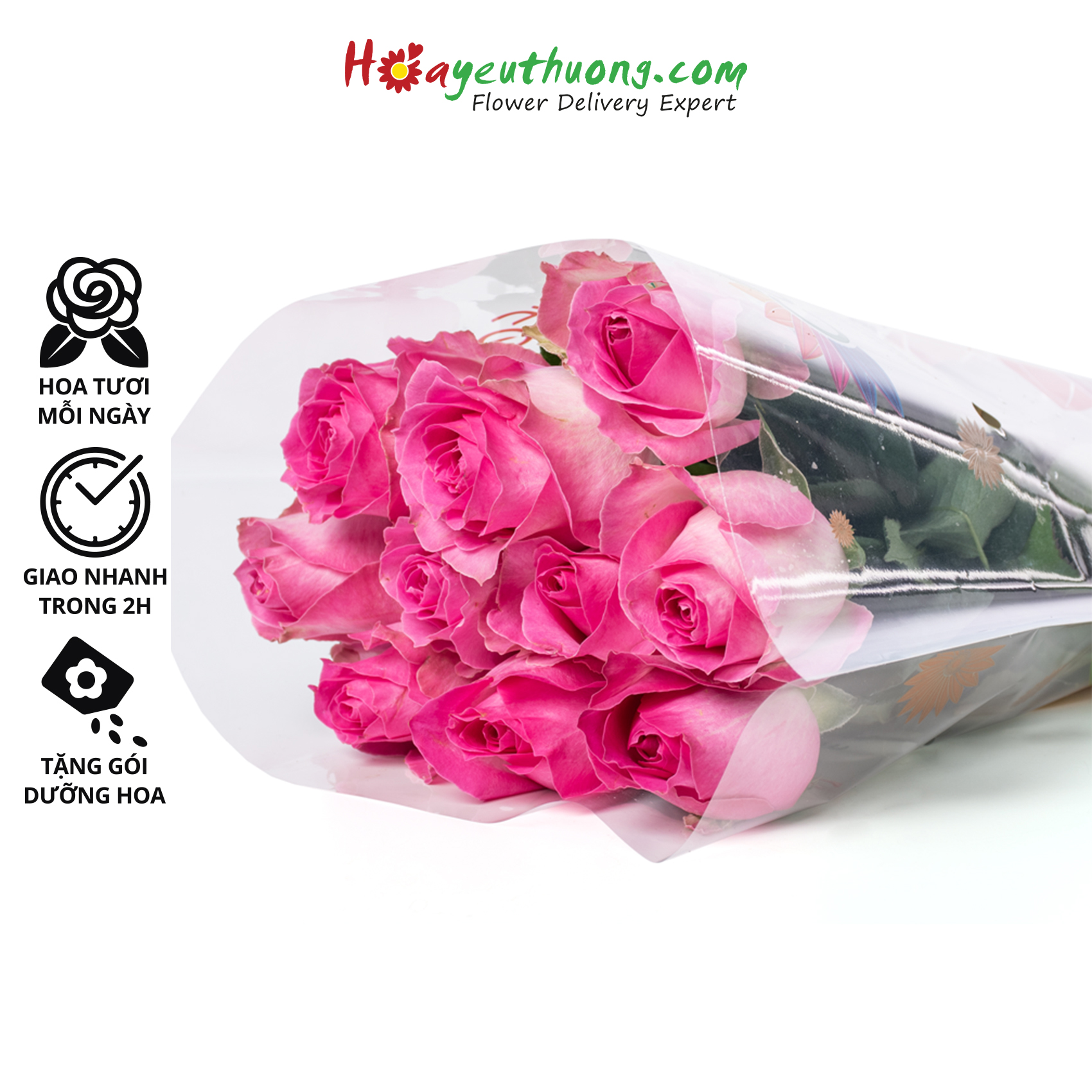 Hoa Hồng Candy Hoayeuthuong - hoa tươi Đà Lạt trang trí nhà cửa, văn phòng