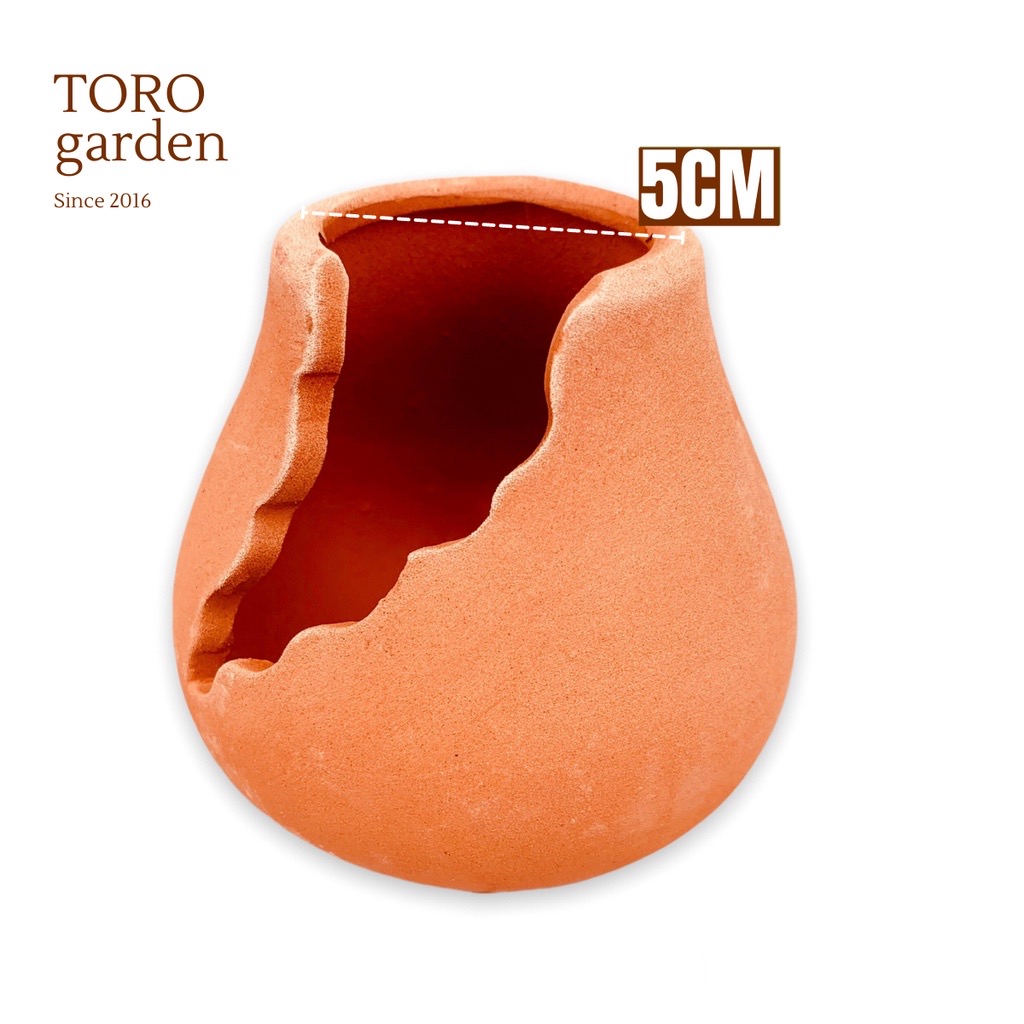CHẬU XẺ ĐẤT NUNG ĐƯỜNG KÍNH 5CM 🎁 SIÊU PHẨM TRỒNG SEN ĐÁ 🎁