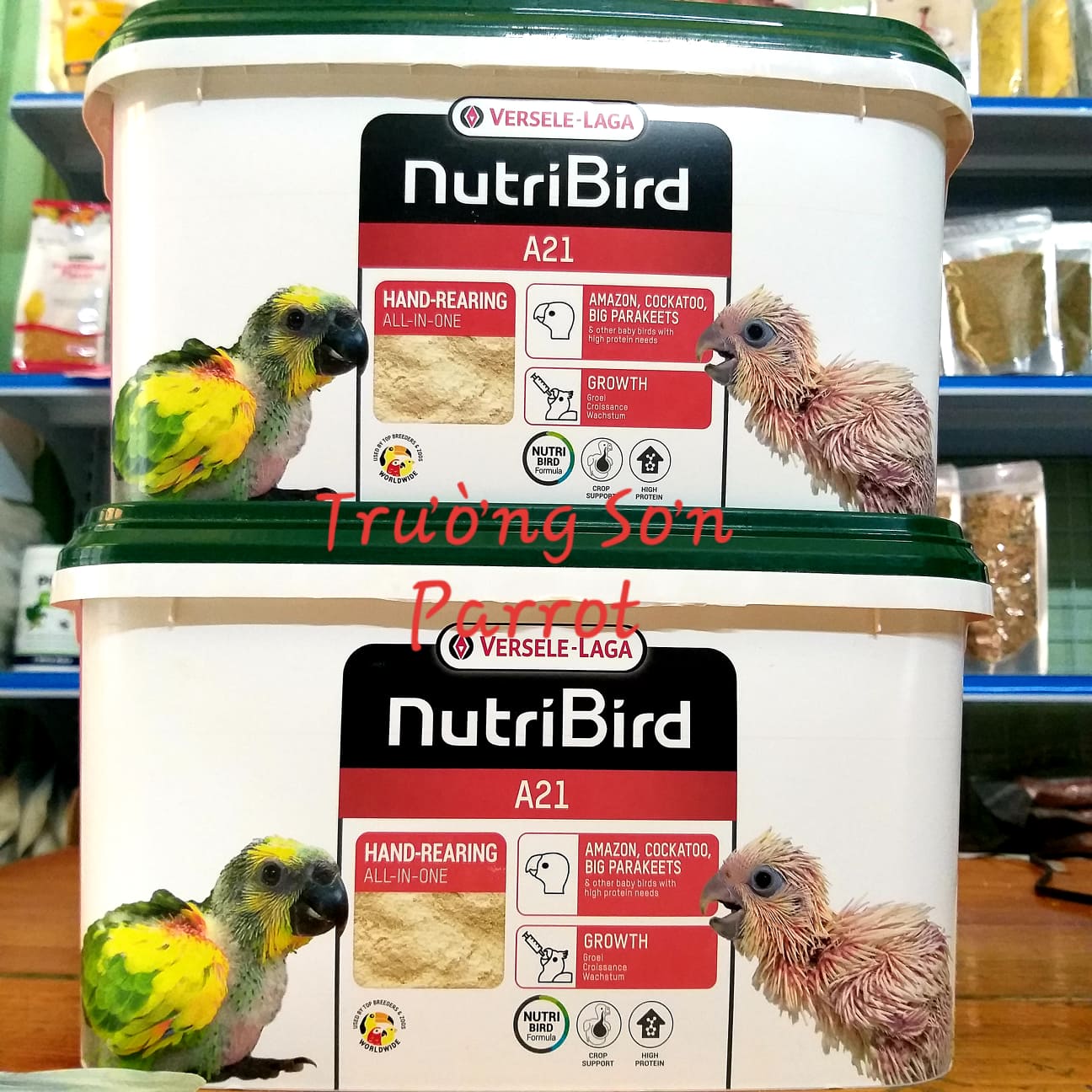 BỘT NUTRI A21 (gói lẻ 200g) đút cho chim non