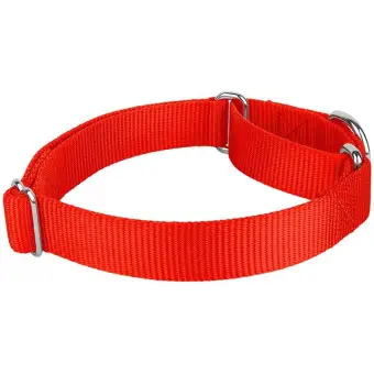 quick release martingale collar