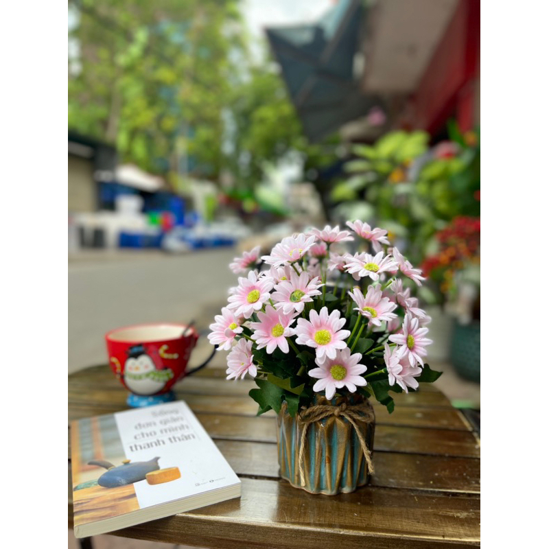 Chậu Cúc mini ( có sẵn chậu)