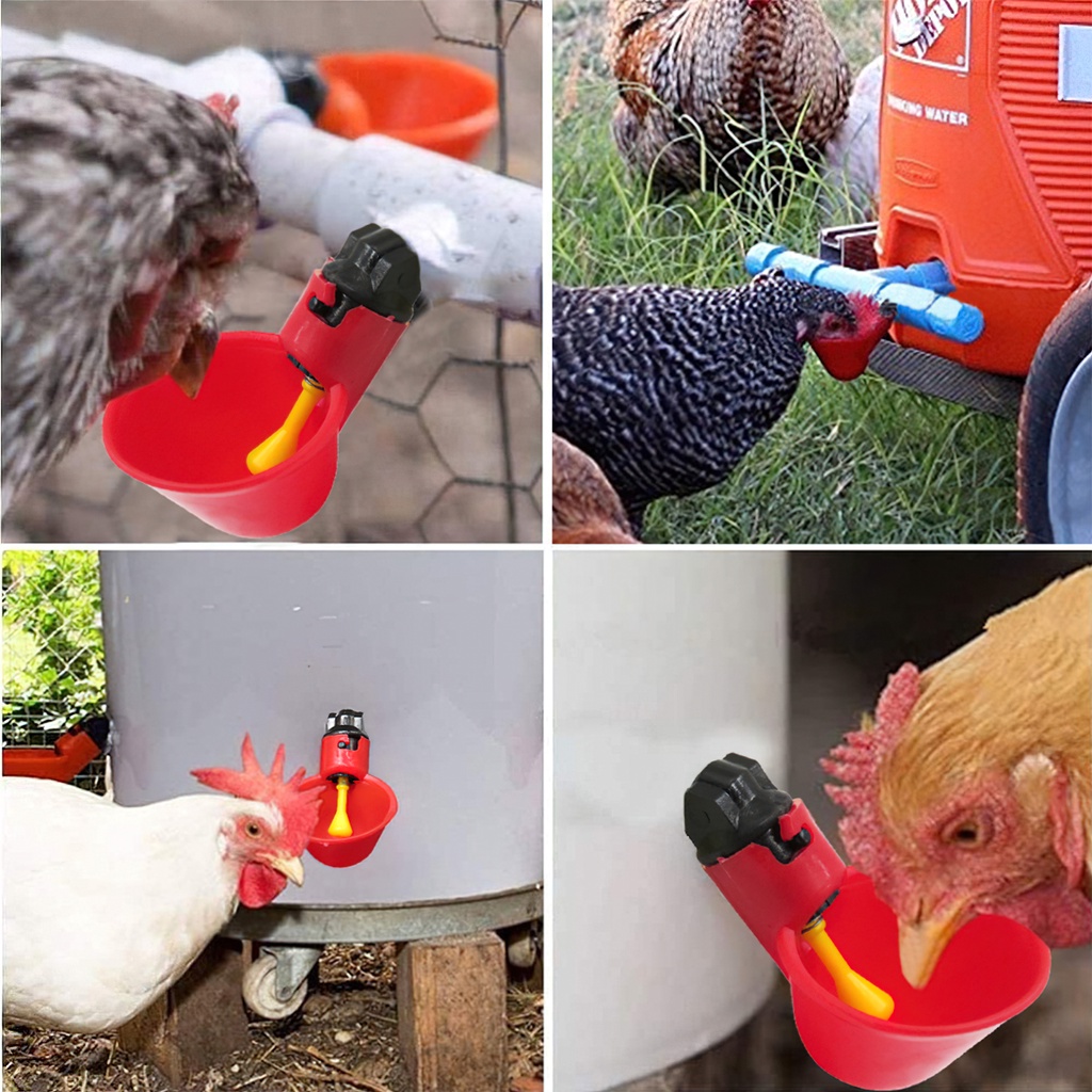 [HCM] máng uống tự động cho gà vịt - loại dạnh cốc hàng sịn - Randy888