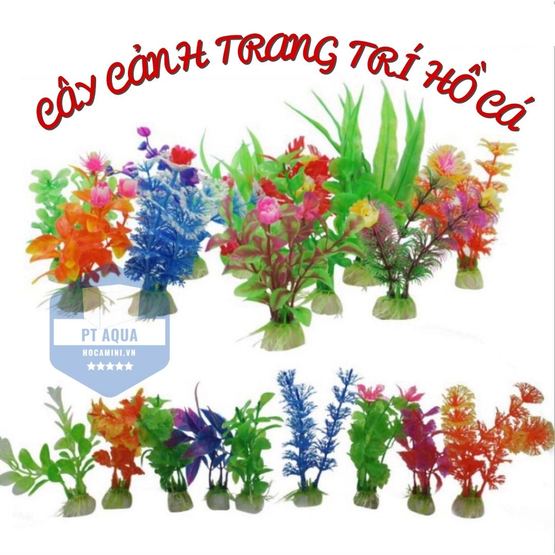 Cây cảnh mini trang trí hồ cá