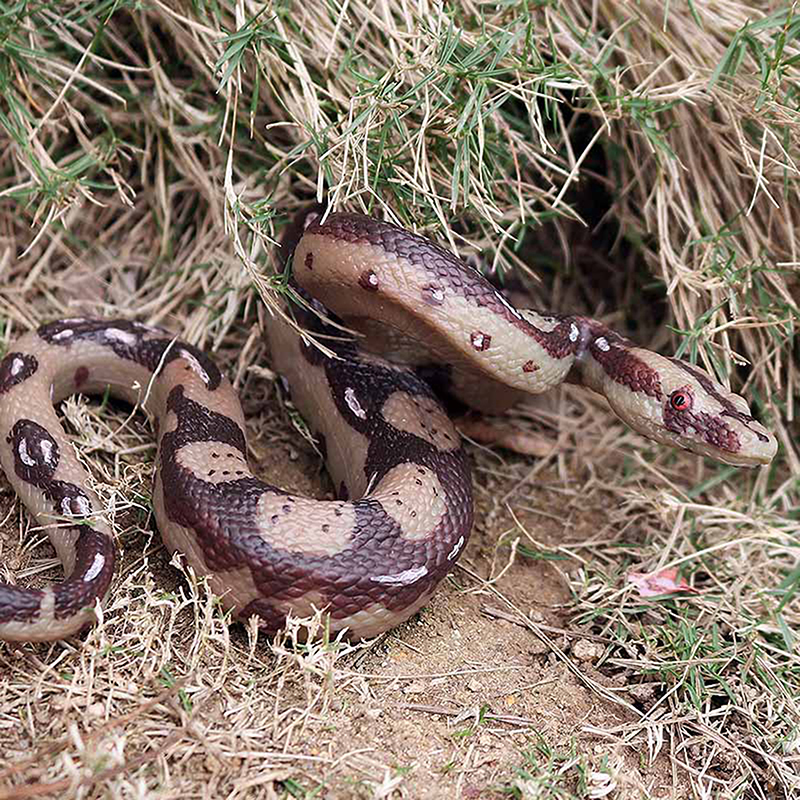 Simulated Python Solid Wild Animal Biological Model Rubber Snake ...