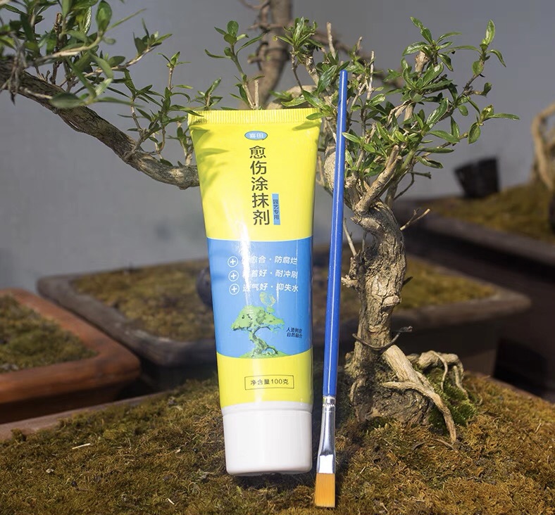 【100g】 Tree Wound Healing BONSAI CUT PASTE SMEAR AGENT PRUNING Compound Sealer with Brush UBAT