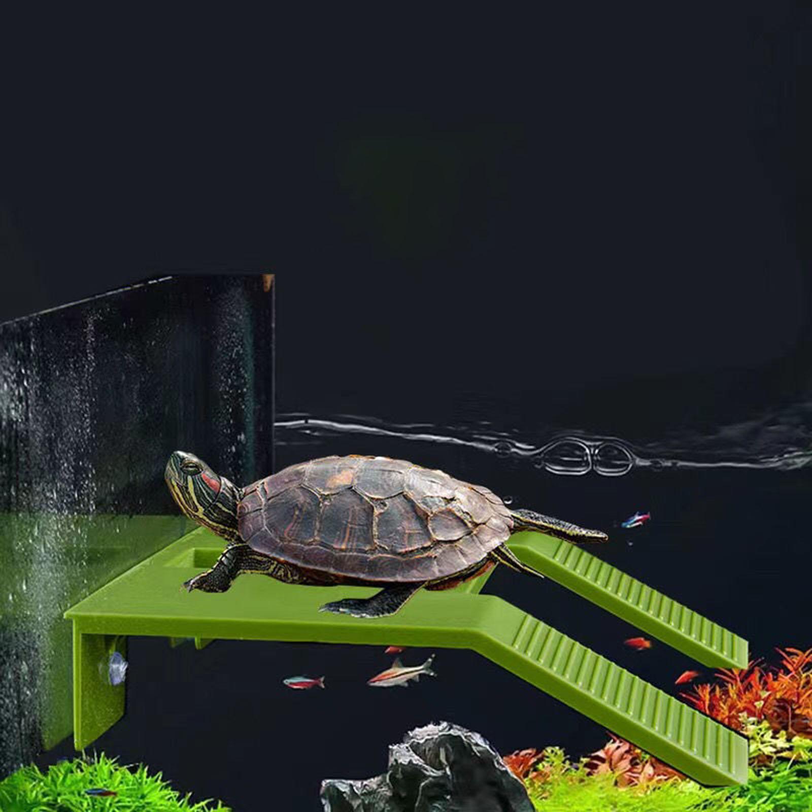 Moon TRIANGLE Turtle Resting Basking Platform Climbing Shelf for Frog Tortoises Amphibians