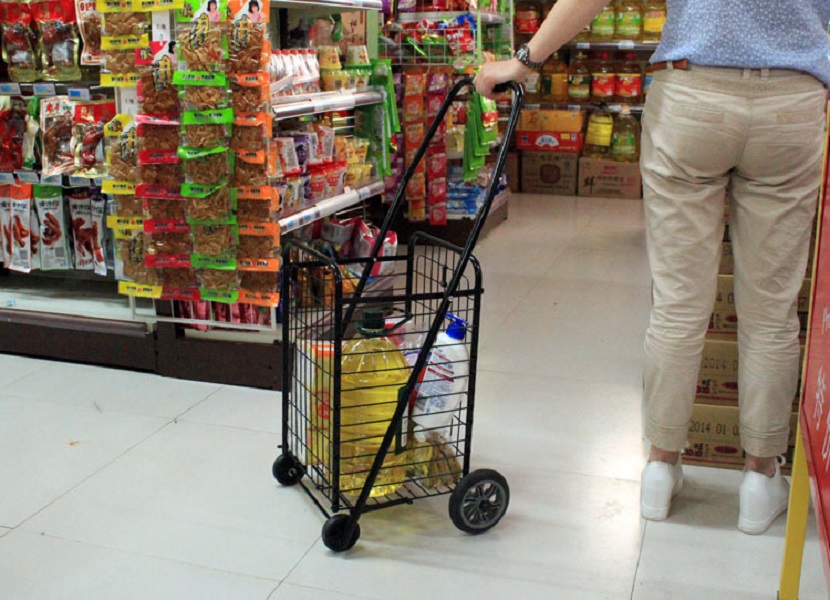 [HCM]Xe kéo đi chợ đa năng cỡ lớn - XKCL