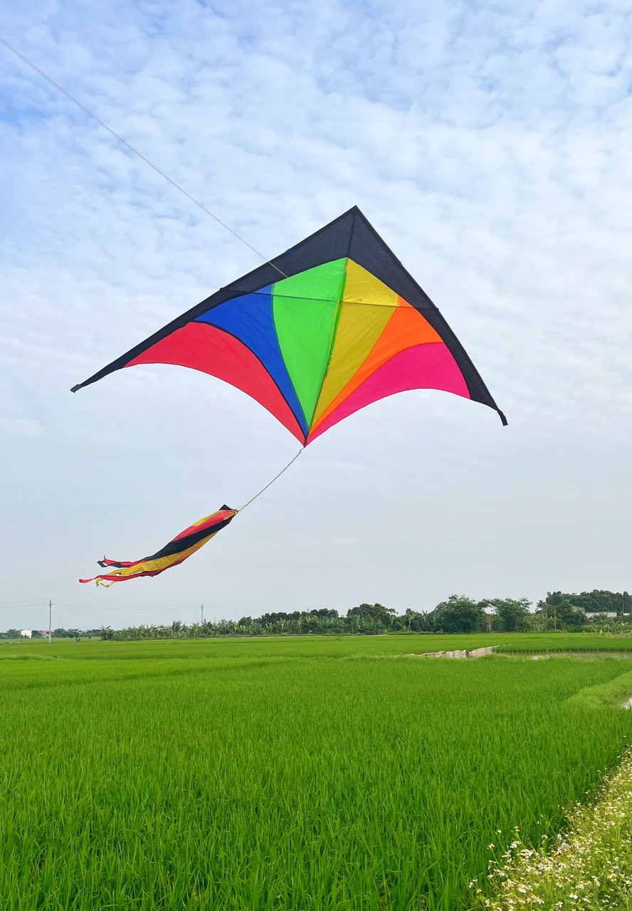 DIều DELTA kích thước lớn siêu đẹp