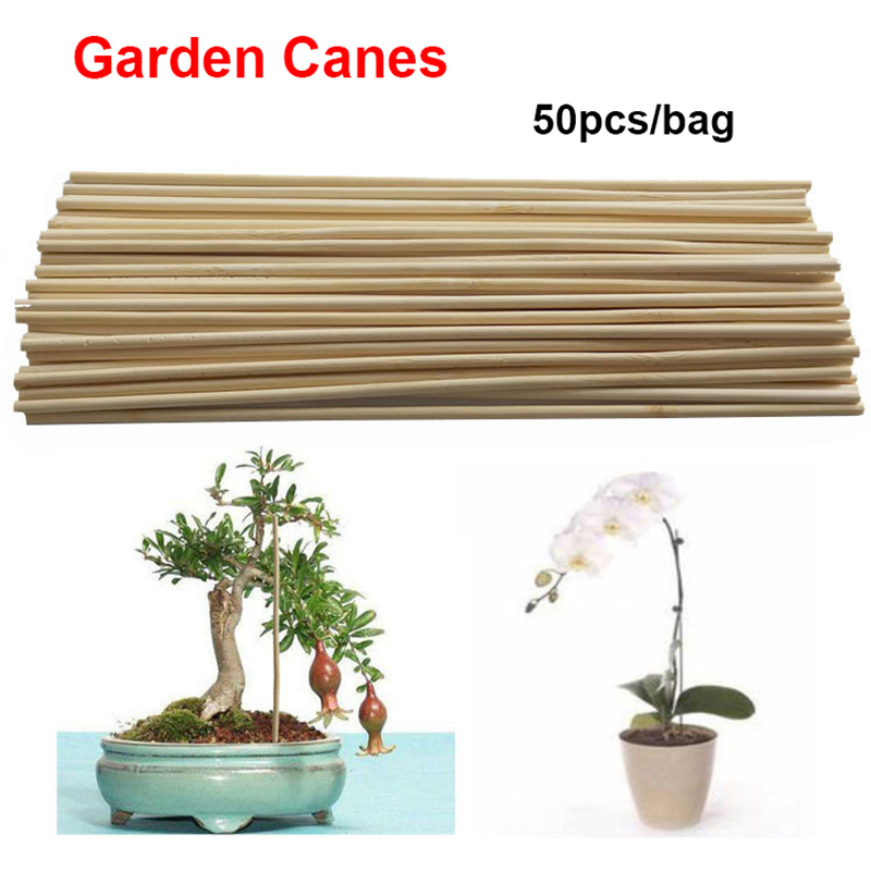 50pcs%20Wooden%20Plant%20Grow%20Support%20Bamboo%20Plant%20Sticks%20for%20Flower%20Stick%20Cane%20Stand%20-%20Image%203