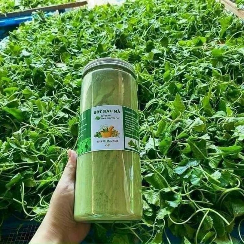 Bột RAU MÁ sấy lạnh nguyên chất