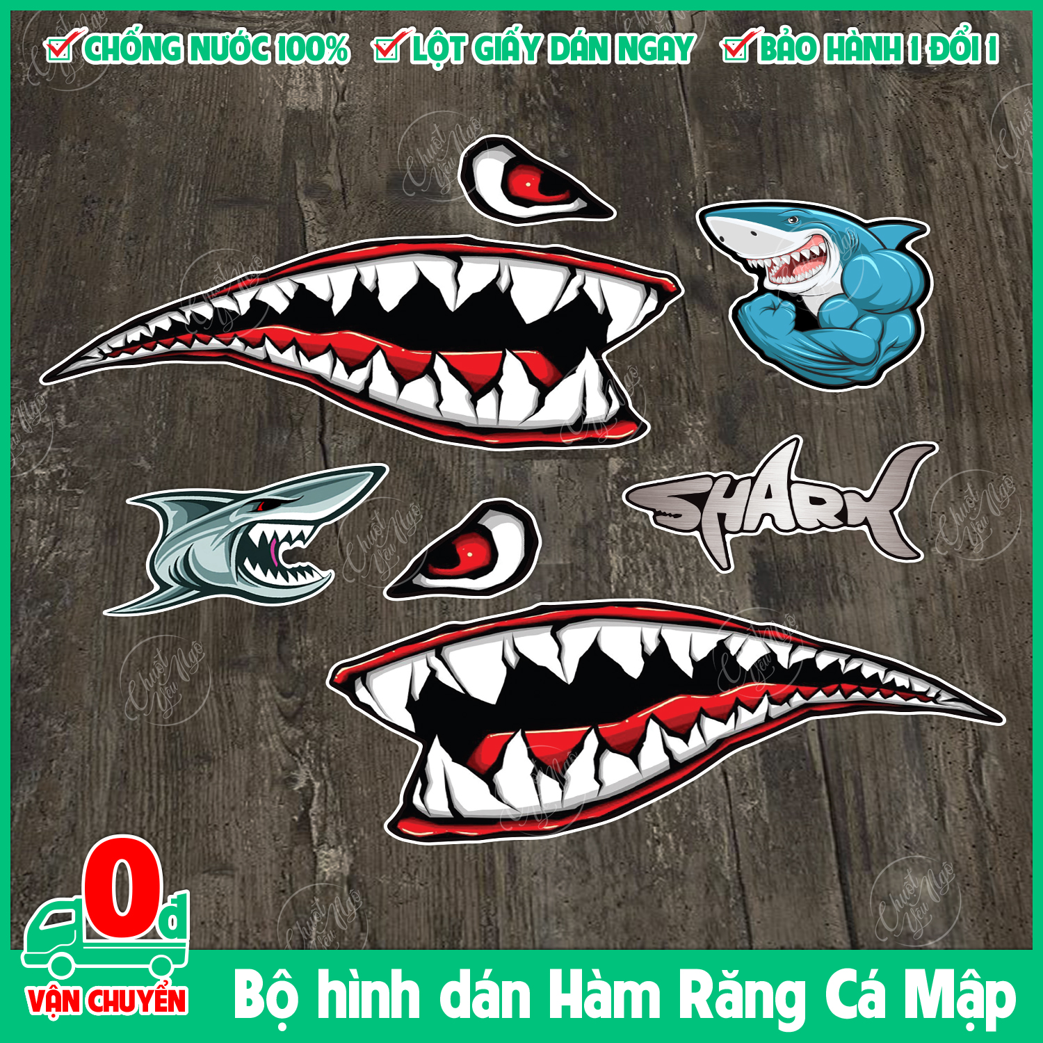 Cá Mập Có Miệng Mở Và Răng Sắc Nhọn Hình minh họa Sẵn có  Tải xuống Hình  ảnh Ngay bây giờ  Cá mập Răng Biển  iStock