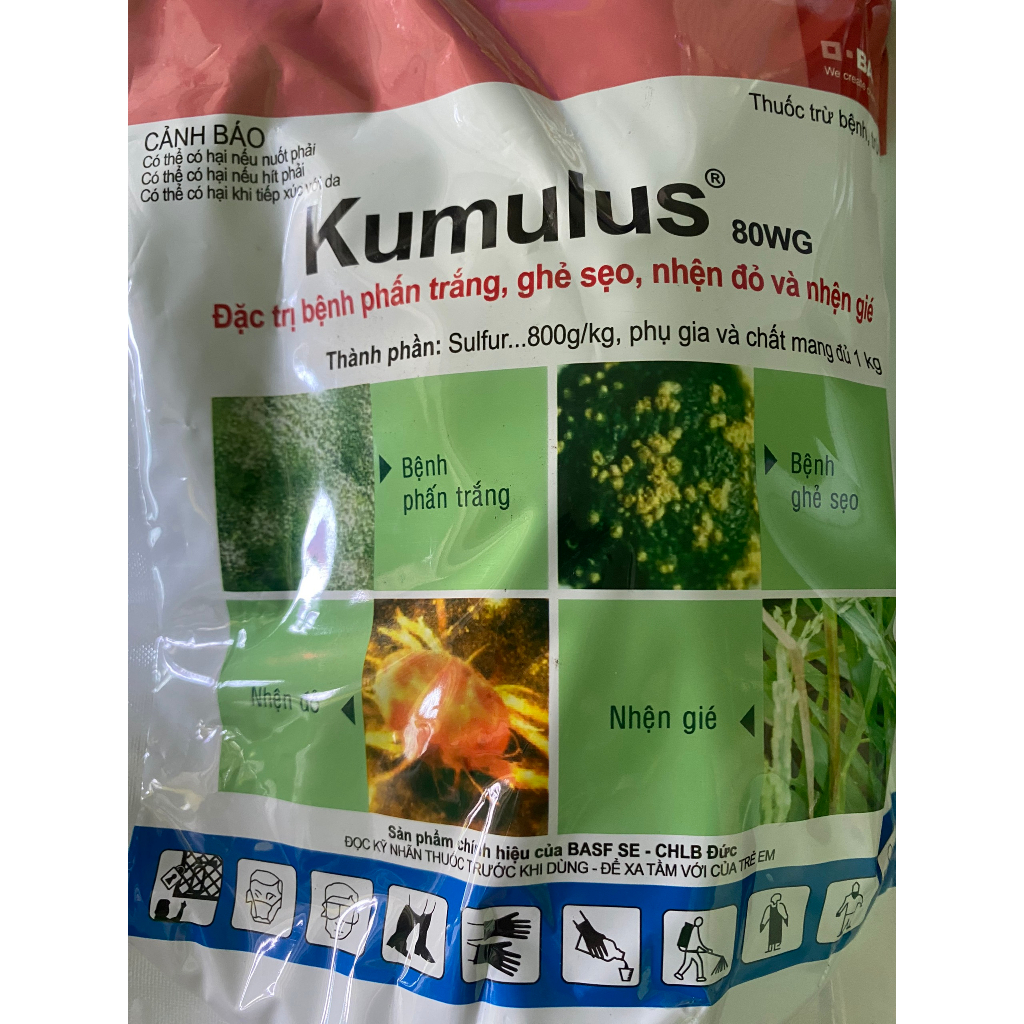 Thuốc trừ bệnh Kumulus 80WG đặc trị bệnh phấn trắng, ghẻ sẹo, nhện đỏ, nhện gié 1kg