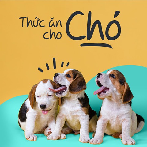 THỨC ĂN CHÓ GANADOR CỪU&GẠO 3KG