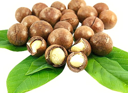 500g hạt macca nứt vỏ bò đội nón