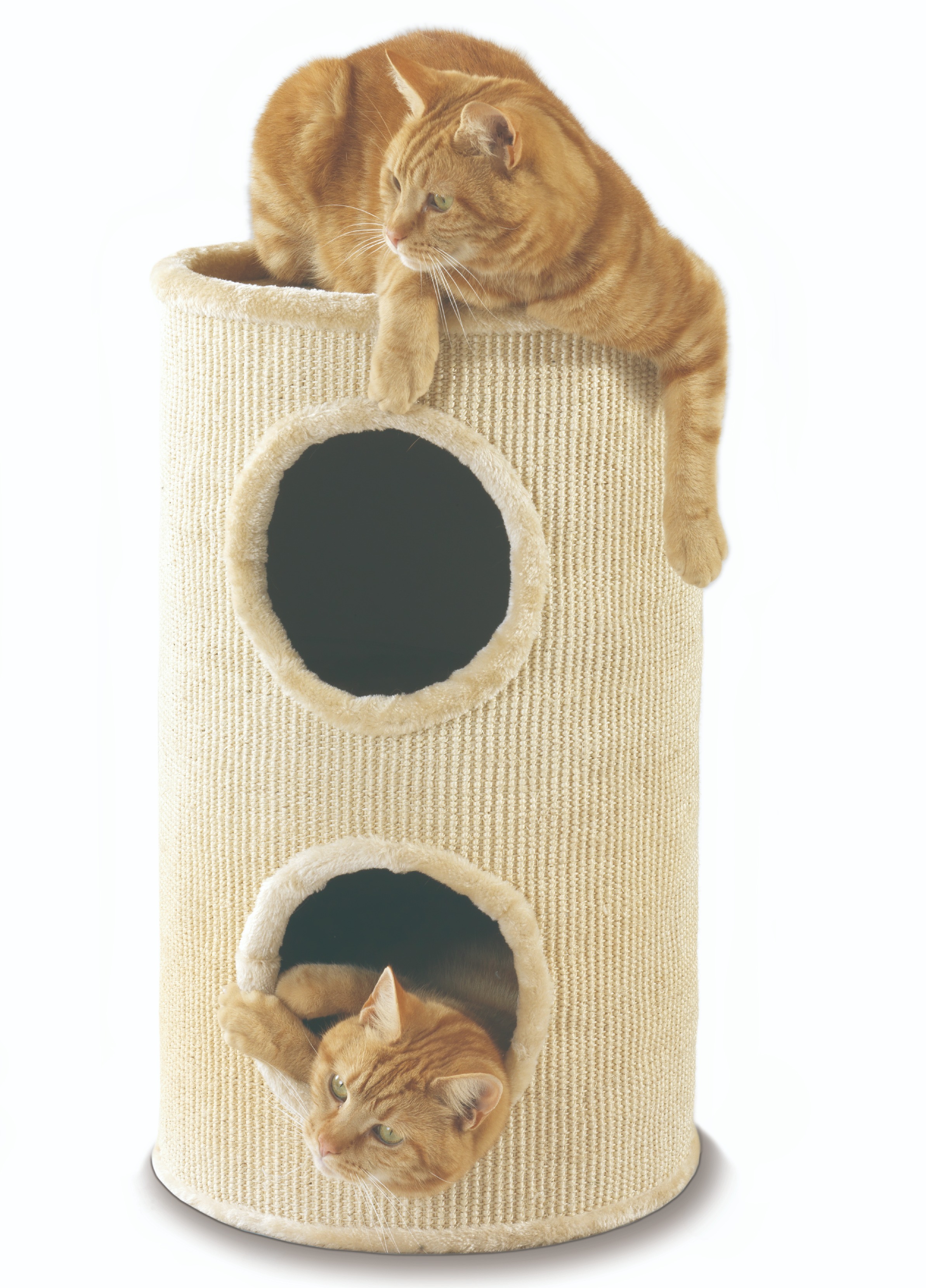 cat condo lazada