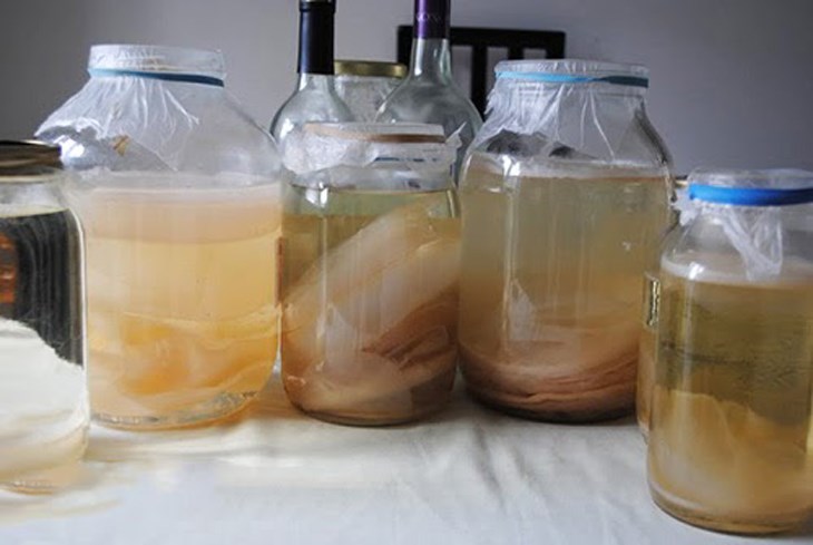 {500ml} - Giấm Nuôi Tự Nhiên - (Không có kèm con giấm).