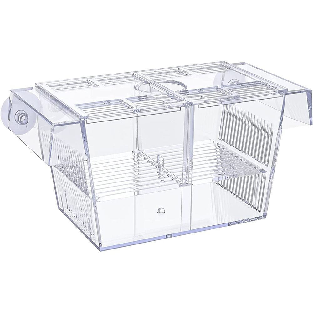 Transparent Clownfish Incubator Shrimp with Suction Cups Fish Baby Hatchery Fish Breeding Box Fish Isolation Box Aquarium Breeder Box. 