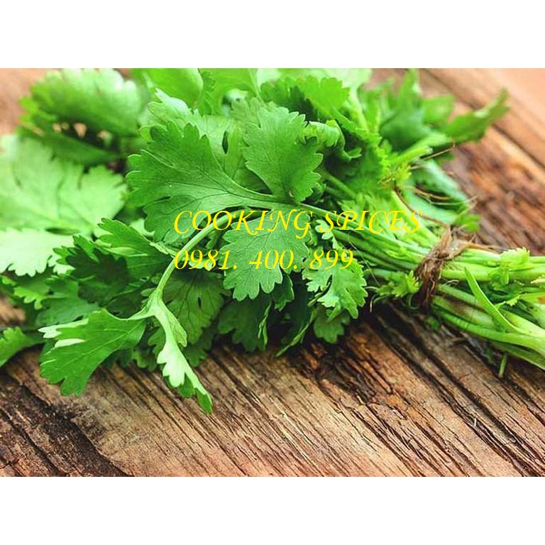 Lá Ngò Rí ( Cilantro Leaves ) lá gia vị sấy khô