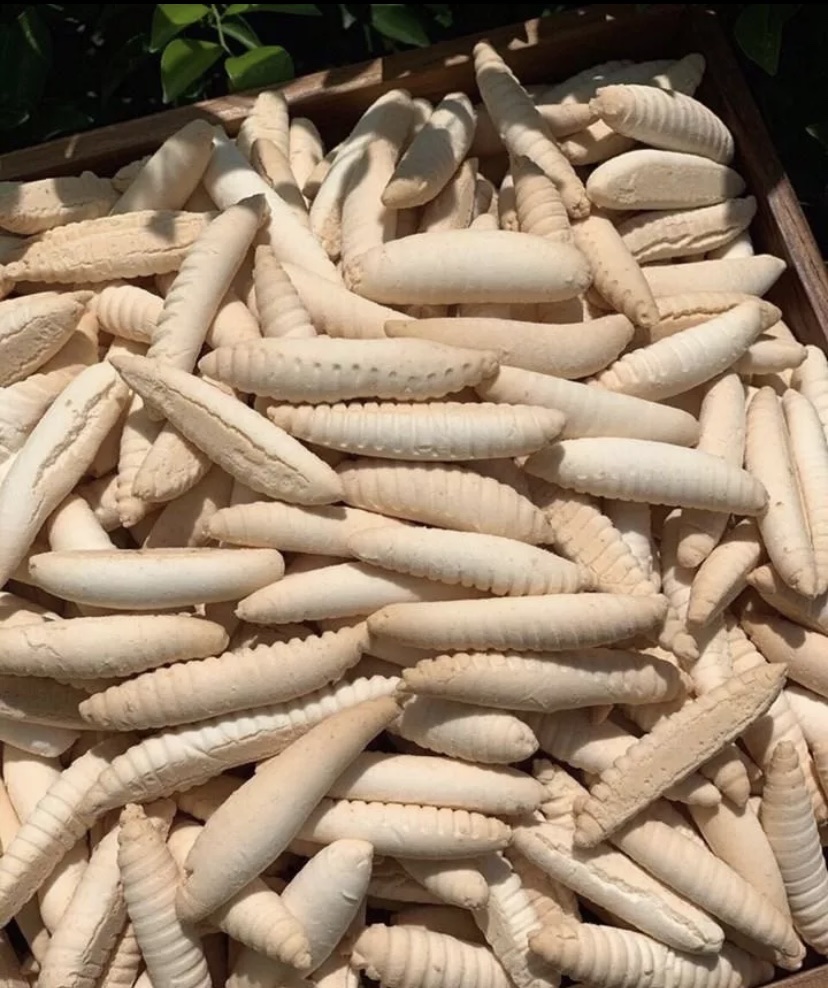 Bánh đuông dừa ( sùn sữa) loại ngon 500g