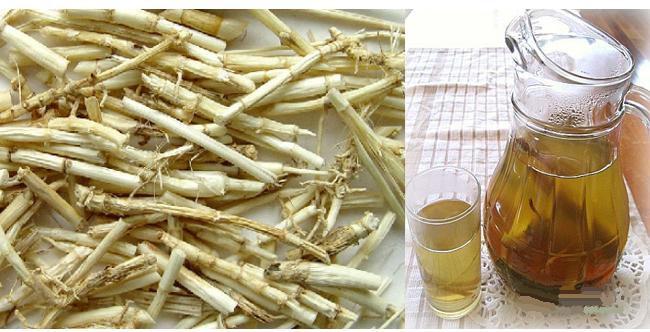 Rễ cỏ tranh khô, rễ tranh nấu sâm (rễ chanh)