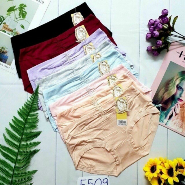 Combo 5 quần cotton cao cấp 45kg đến 60kg