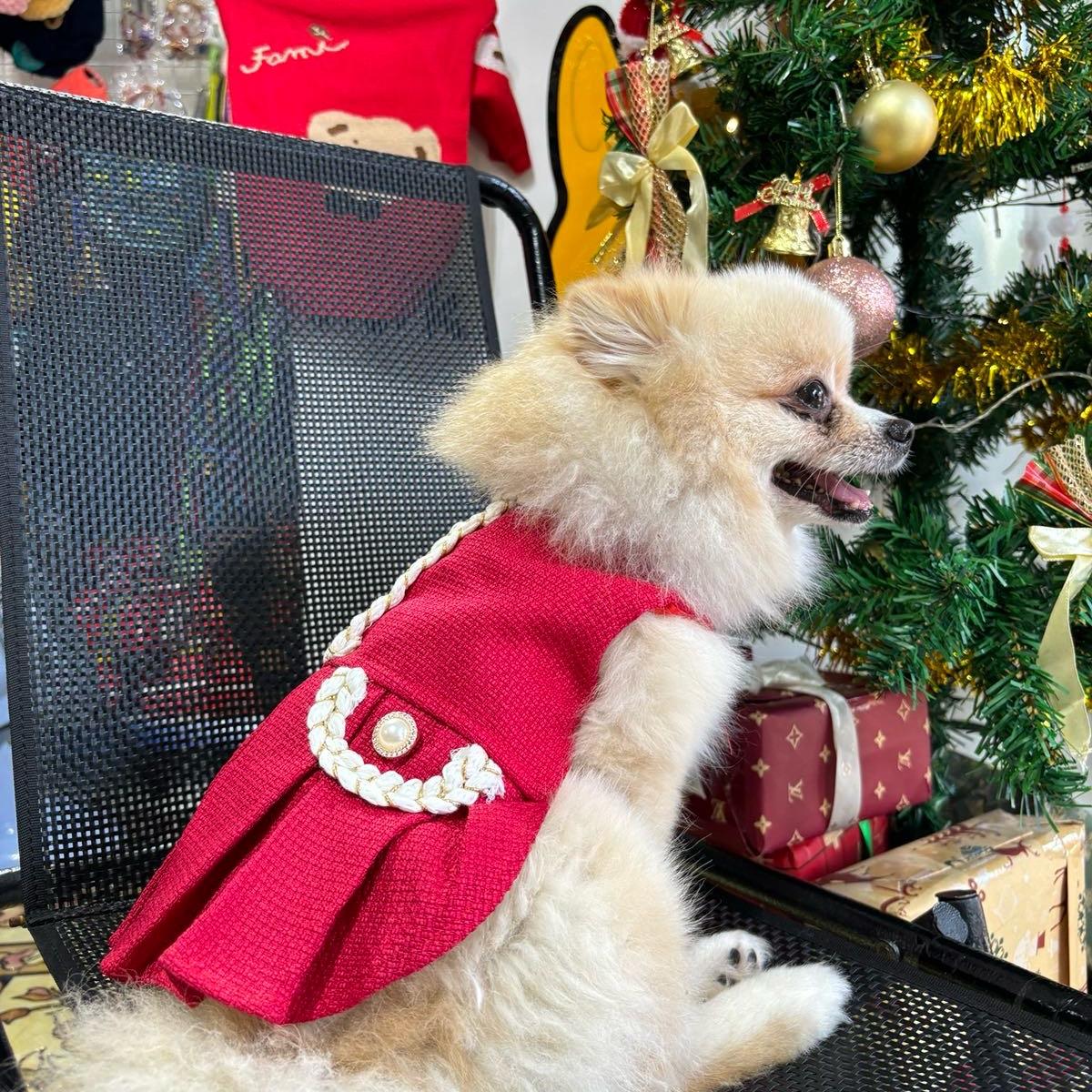 ĐẦM Dạ Tết cho chó mèo - Punpun Petshop