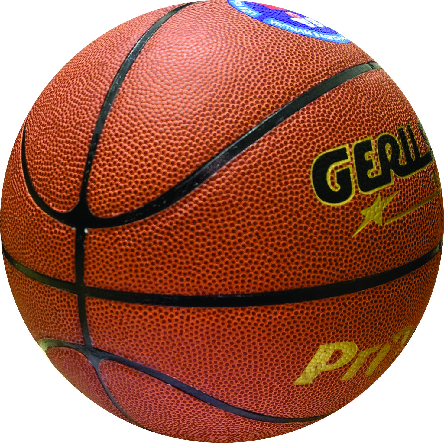 Bóng rổ thi đấu PROMASTER GERUSPORT