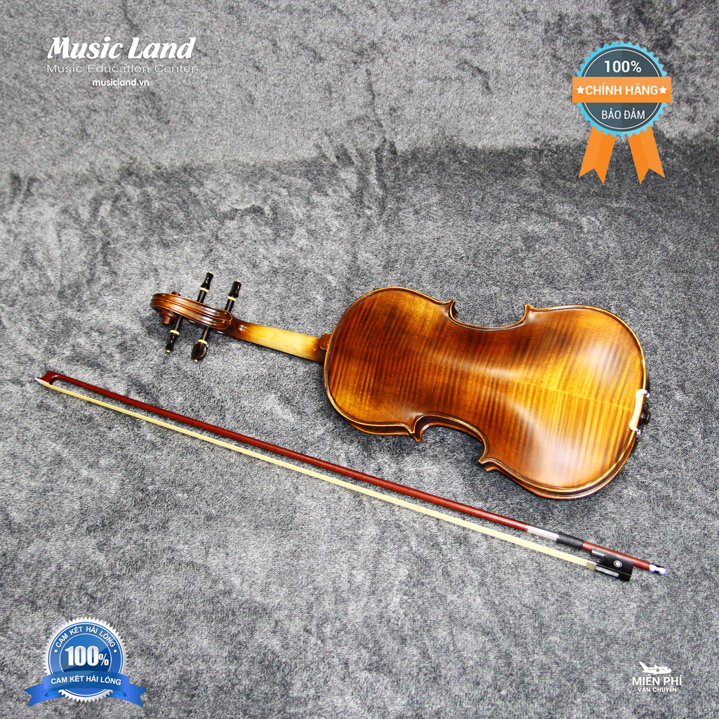 Đàn Violin Amati VM118 – Chính Hãng