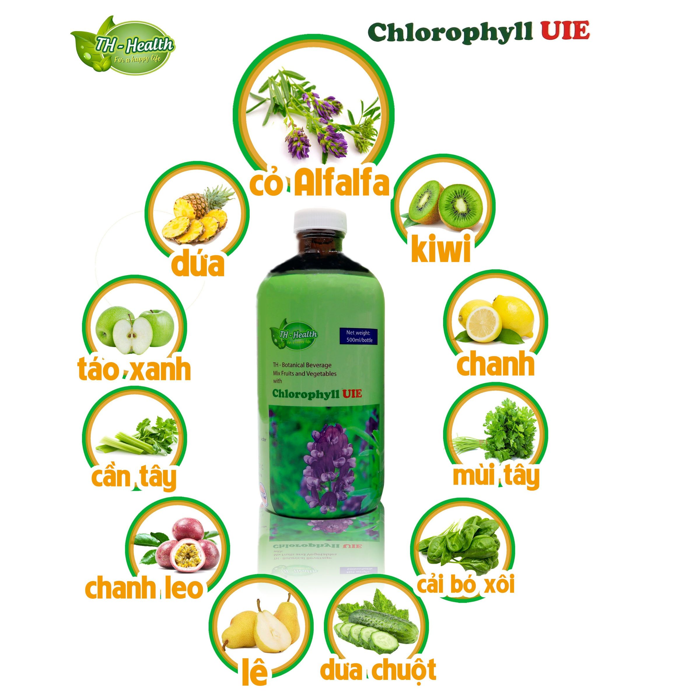 Thực phẩm bảo vệ sức khoẻ Diệp lục TH - Health chai 500ml