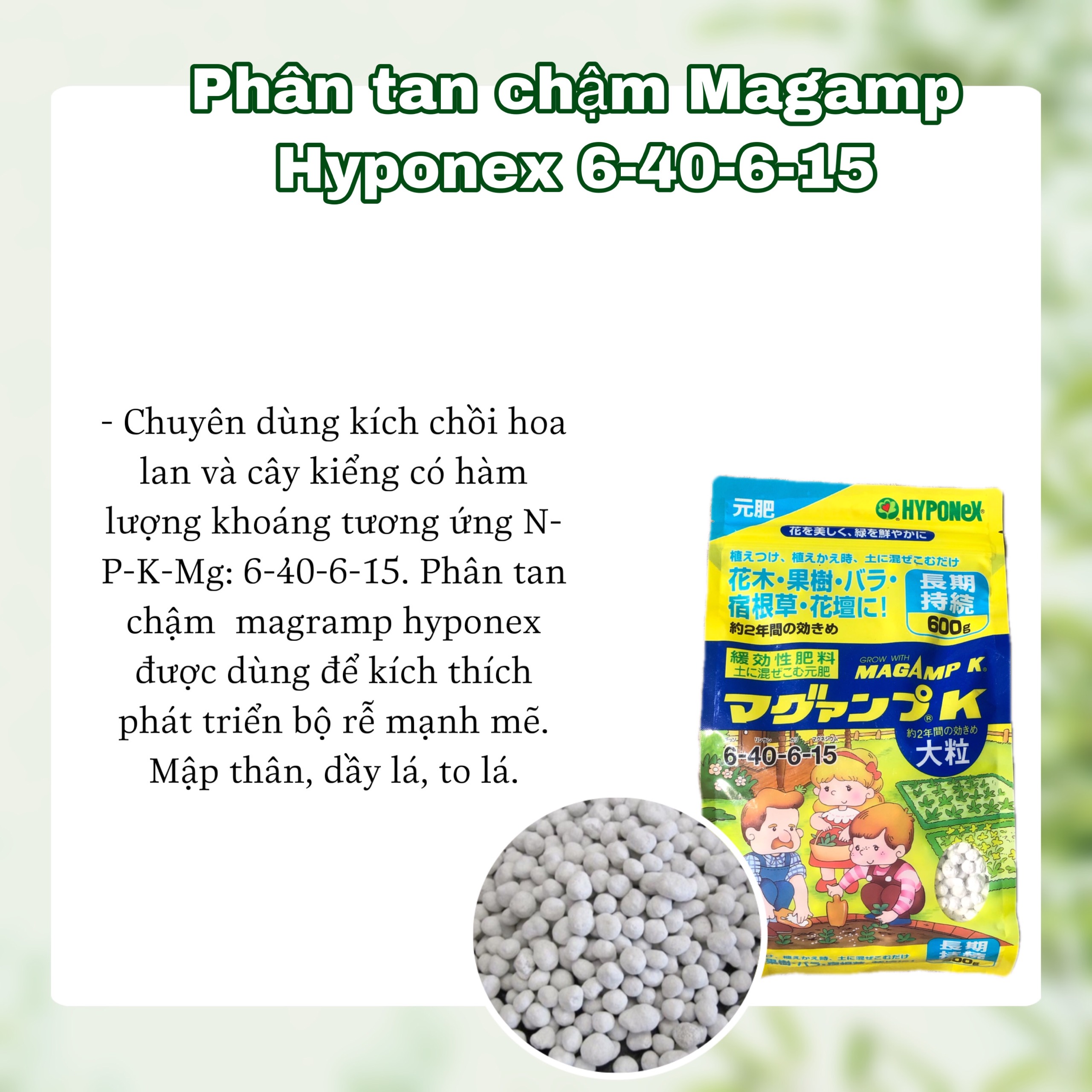 [HCM]Phân bón tan chậm Hyponex Magamp K 6-40-6-15 bịch 01 kg