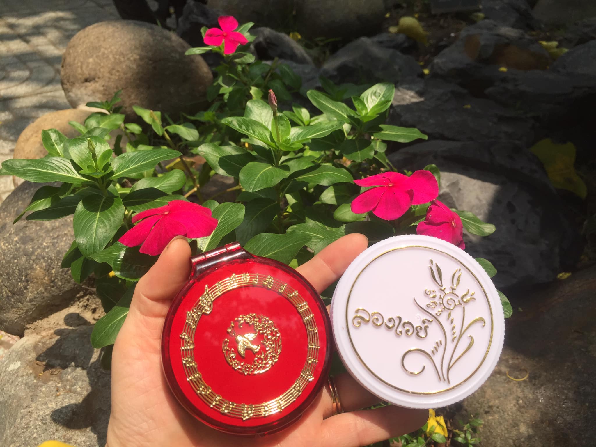 Phấn phủ trang điểm Thái Lan con chim Én 15 g