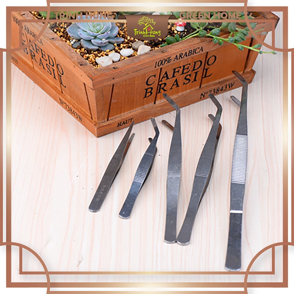 Nhíp đầu cong 17cm thép không gỉ - phụ kiện thủy sinh, bán cạn, terrarium