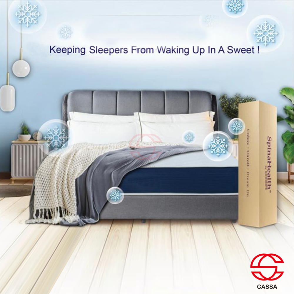 [HL] Goodnite ZERO Motion Transfer Dual Feel Spring FREE 9' Compress