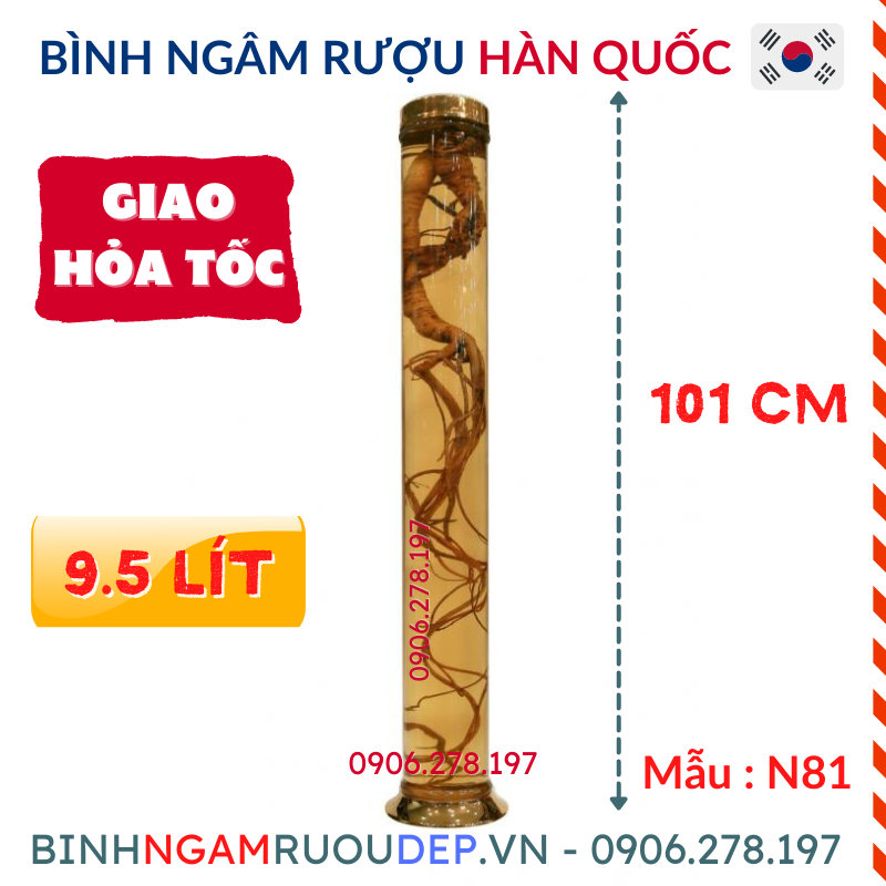 Bình ngâm rượu thủy tinh hàn quốc 9.5 lít bình rượu đẹp thủy tinh pha lê no81 - mã : no81