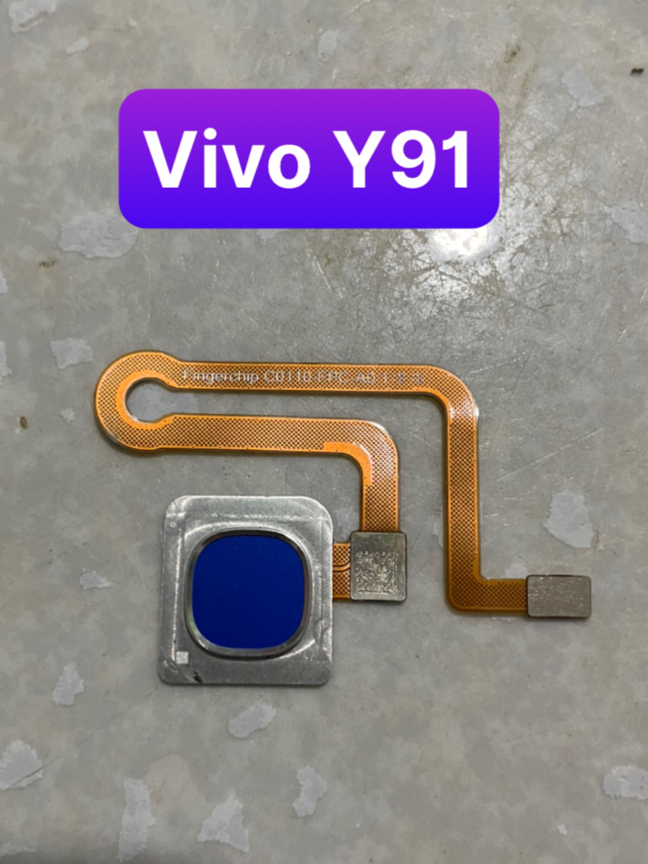cảm biến vân tay vivo Y91 - vân zin