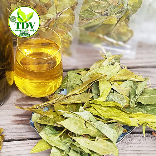 1kg Chè Dung Nghệ An tốt cho dạ dày