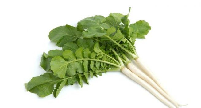 Hạt giống củ cải ăn lá (cải kẹp, rau mướp bú) 20g (lá to, có vị đặc trưng, mùi thơm)