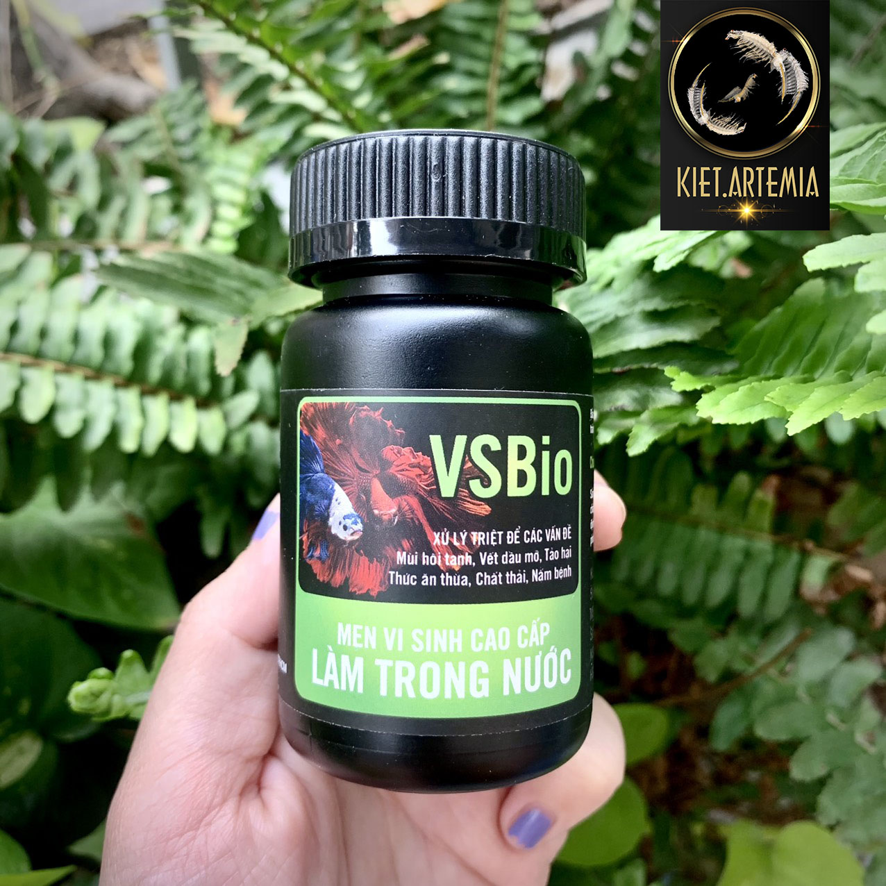 Men vi sinh làm trong nước hồ cá thủy sinh - VSbio