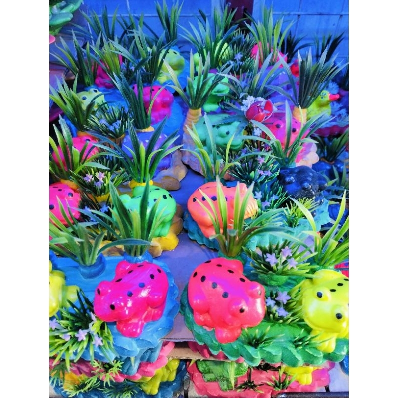 HIASAN DEKORASI AQUARIUM AQUASCAPE KATAK 2