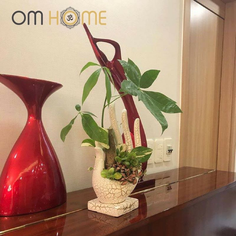 Ấn Vô Úy Có Cây Om Home (Trồng sẵn cây và chỉ giao nội thành Hồ Chí Minh)