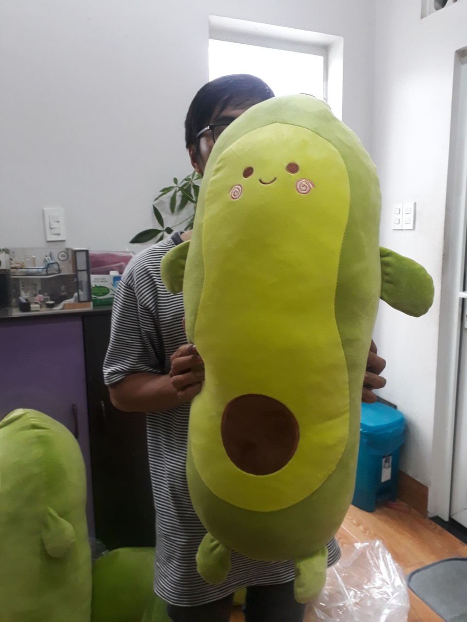 Gấu bông, gối ôm trái bơ