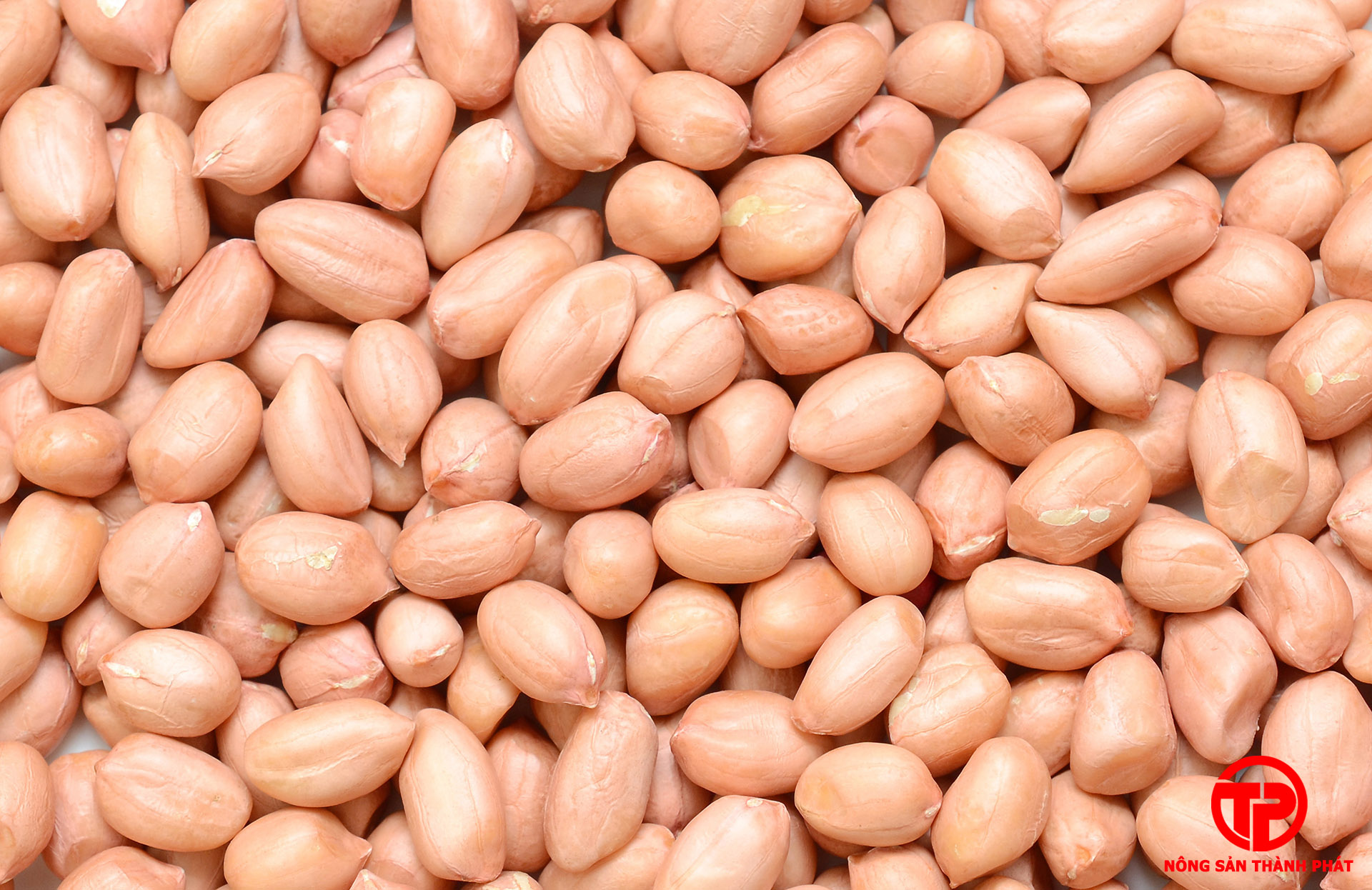 [HCM]Đậu phộng quê ( Lạc) sống 1kg bao mới ngon