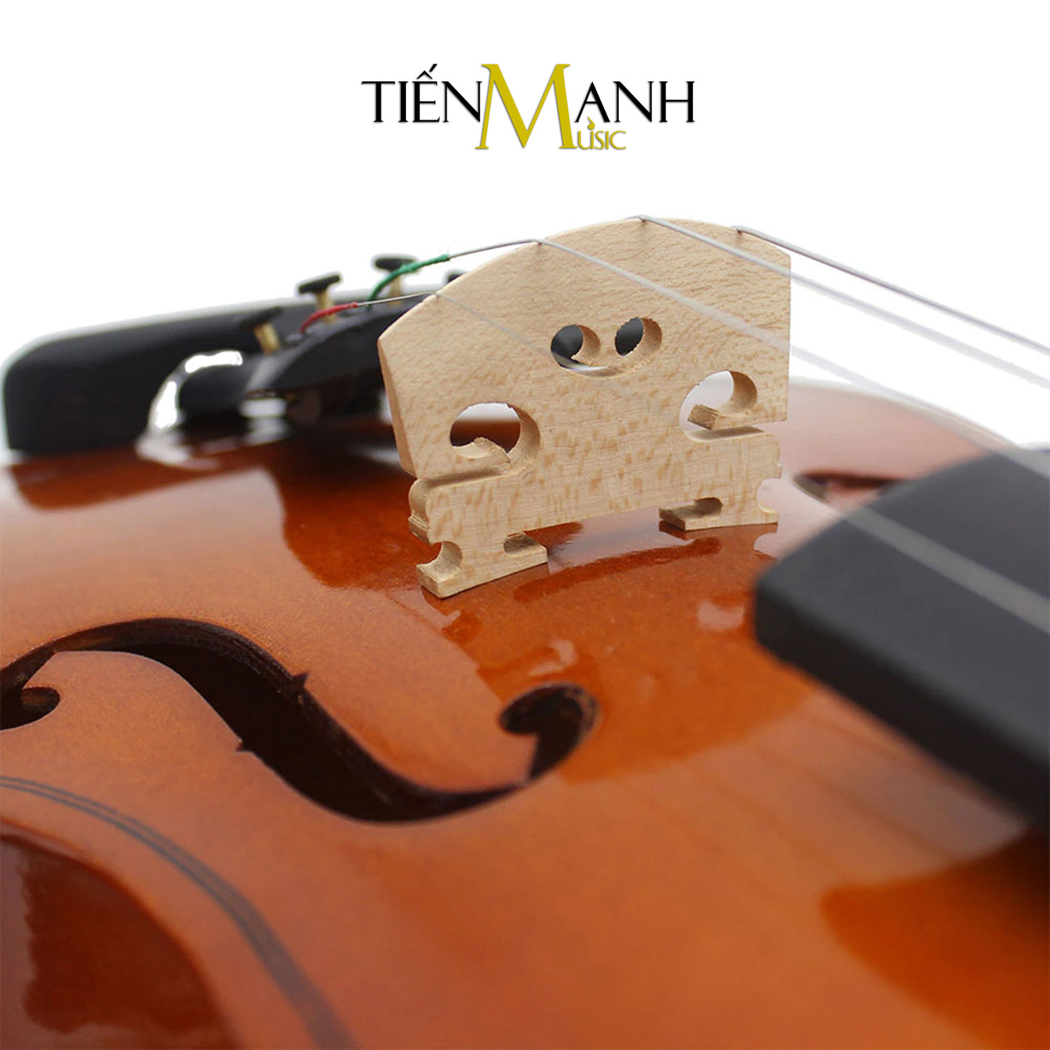 [Chính Hãng, Tặng Sticker] Đàn Violin Omebo RV205 Size 4/4, 3/4, 1/2, 1/4, 1/8, 1/10, 1/16 - Vĩ Cầm RV-205...