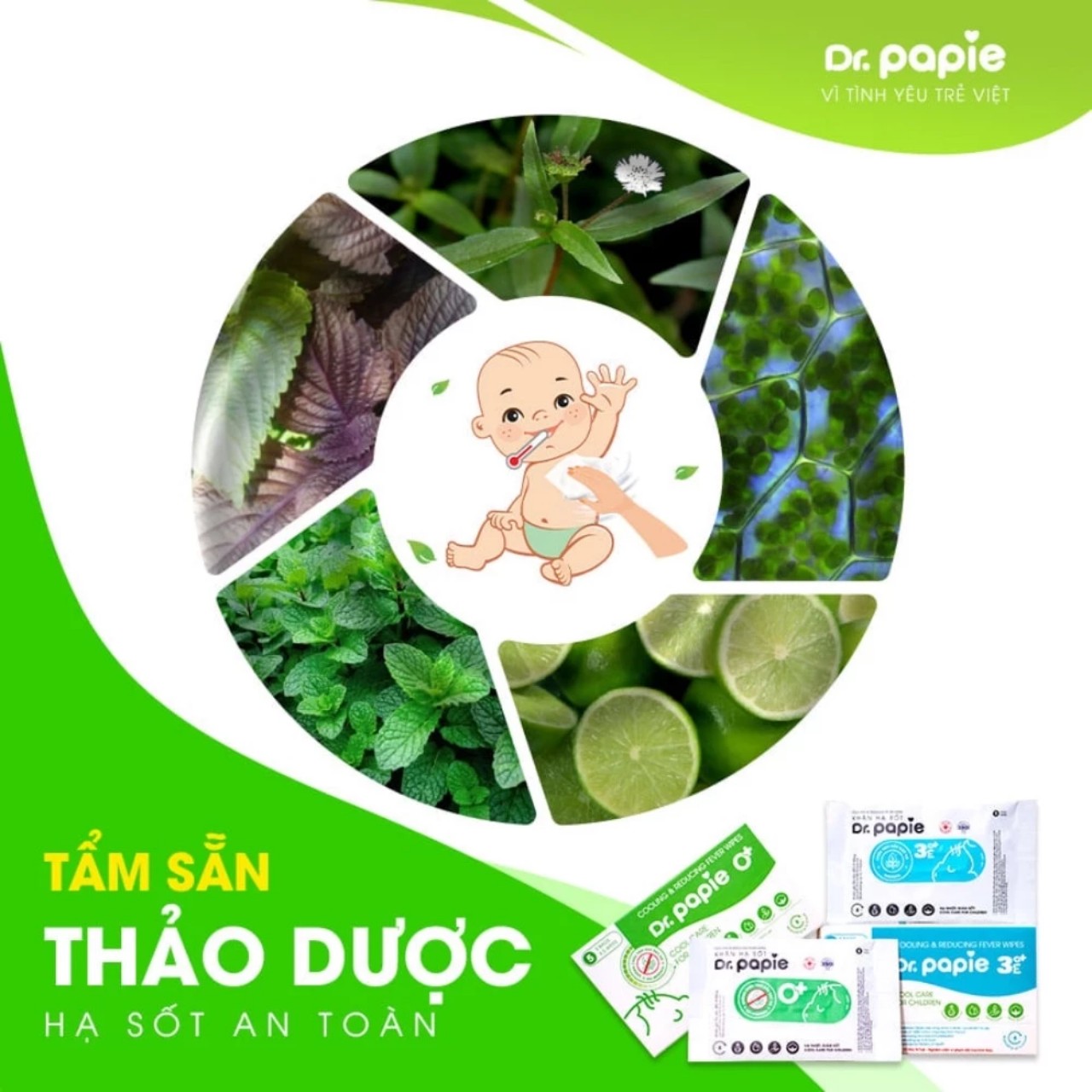 Khăn lau hạ nhiệt DR PAPIE