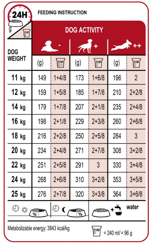 Hạt Royal Canin Medium Adult Pro / 16kg
