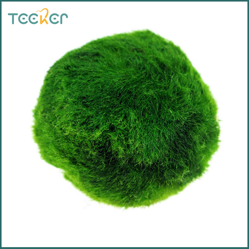 Teeker Pet Moss Ball Decorative Moss Balls for Fish Tank Water