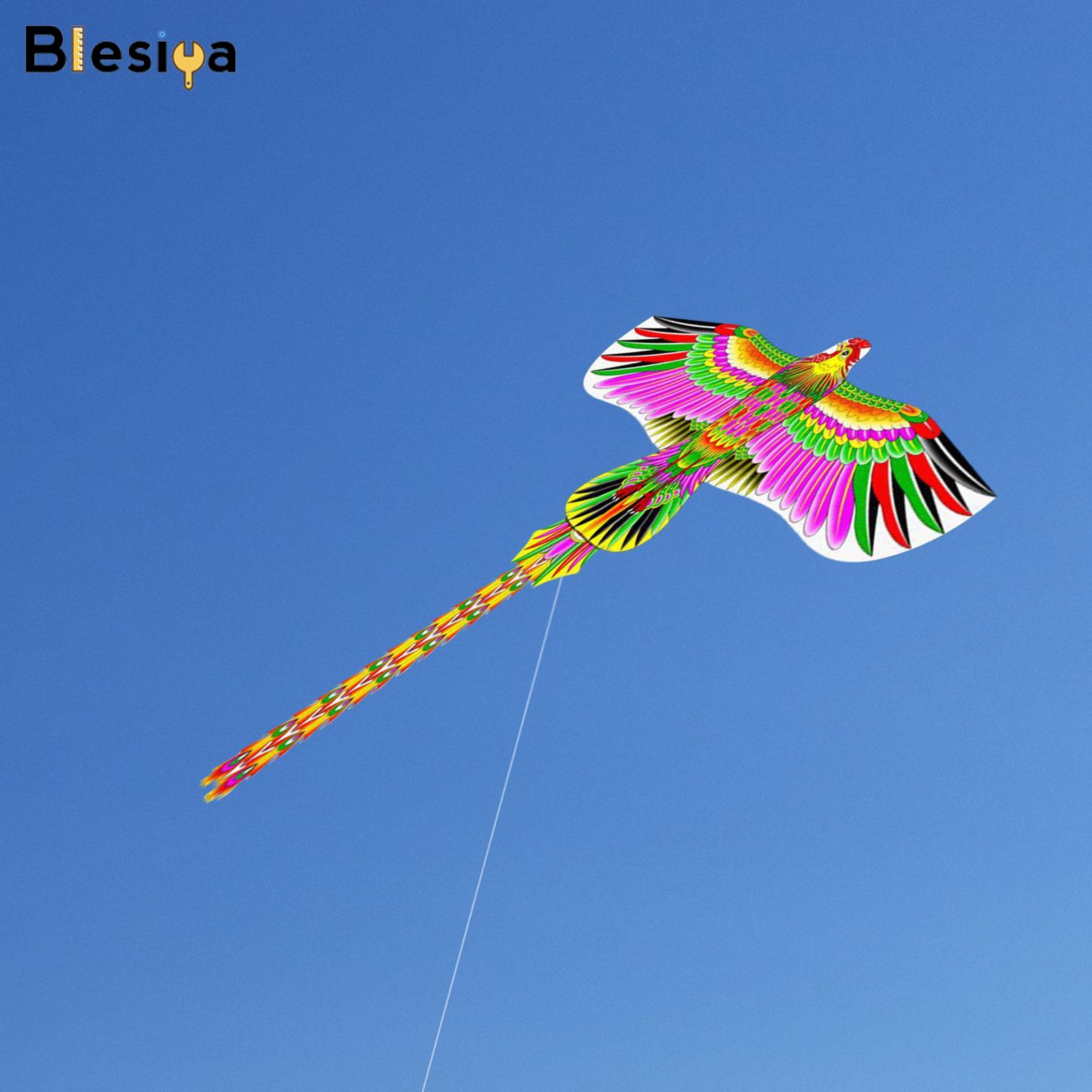Blesiya Huge Kite for Adults Bird for Birthday Gift Outdoor Game